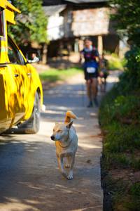 BIB: 
                            <button type="button" onclick="openModal(19338961)" class="btn btn-primary btn-sm float-right btn-popup" data-toggle="modal" data-target=".modal-high-quality">
                        <i class="fas fa-shopping-cart"></i> Add to Cart
                    </button>
                                            <button type="button" onclick="isThisMe(19338961, true)" class="btn btn-success btn-sm float-right btn-popup btn-isme hidden" data-toggle="tooltip" data-placement="bottom" title="นี่คือรูปของคุณใช่ไหม คลิกที่นี่เพื่อเอาเข้าอัลบั้ม">
                        <i class="fas fa-plus"></i> Add to album
                    </button>
                    <button type="button" onclick="isThisMe(19338961, false)" class="btn btn-warning btn-sm float-right btn-popup btn-isnotme hidden">
                        <i class="fas fa-ban"></i> Remove from album
                    </button>